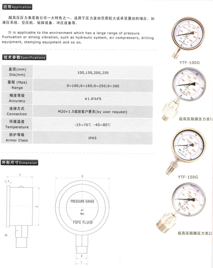 超高溫壓力表