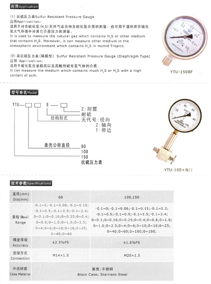 抗硫壓力表系列