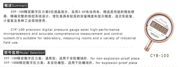 CYB-100精密數(shù)字壓力表